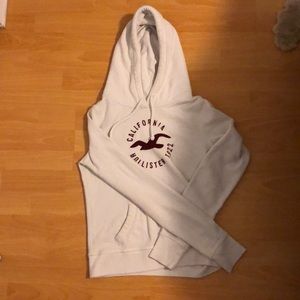 hollisger hoodie